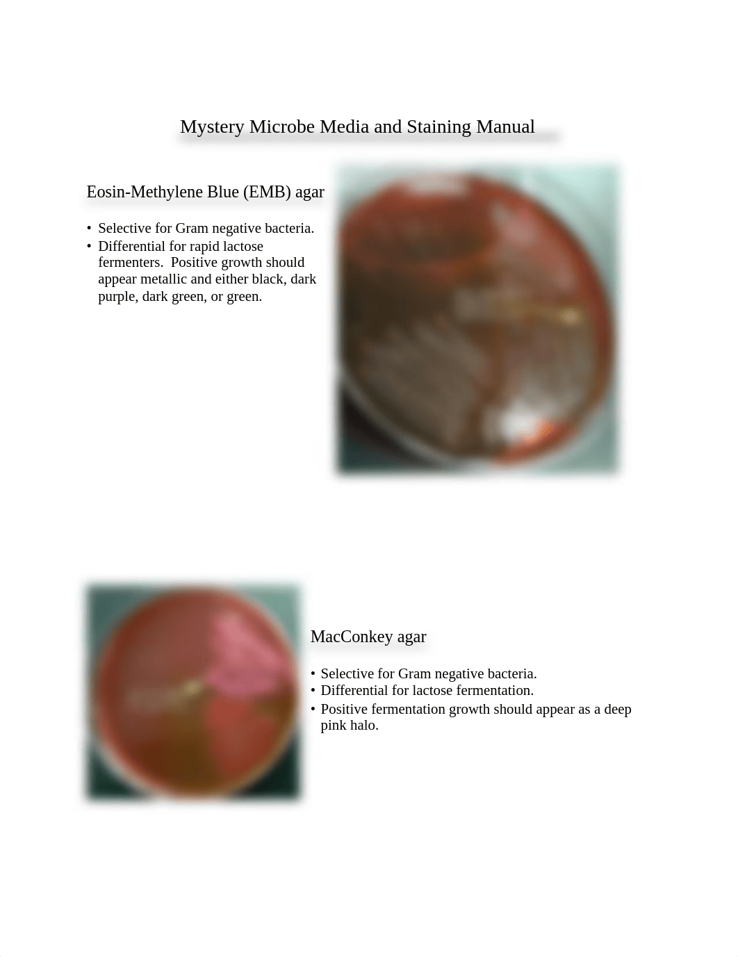 Mystery Microbe Biochemical Testing Manual-Accessible.pdf_dus6ax6vmb9_page1