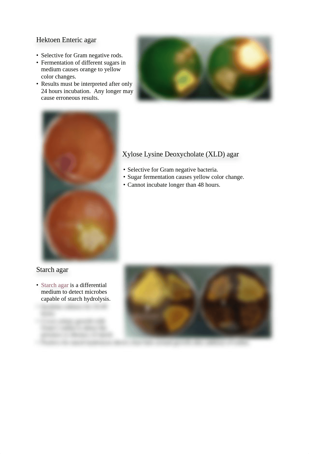 Mystery Microbe Biochemical Testing Manual-Accessible.pdf_dus6ax6vmb9_page2