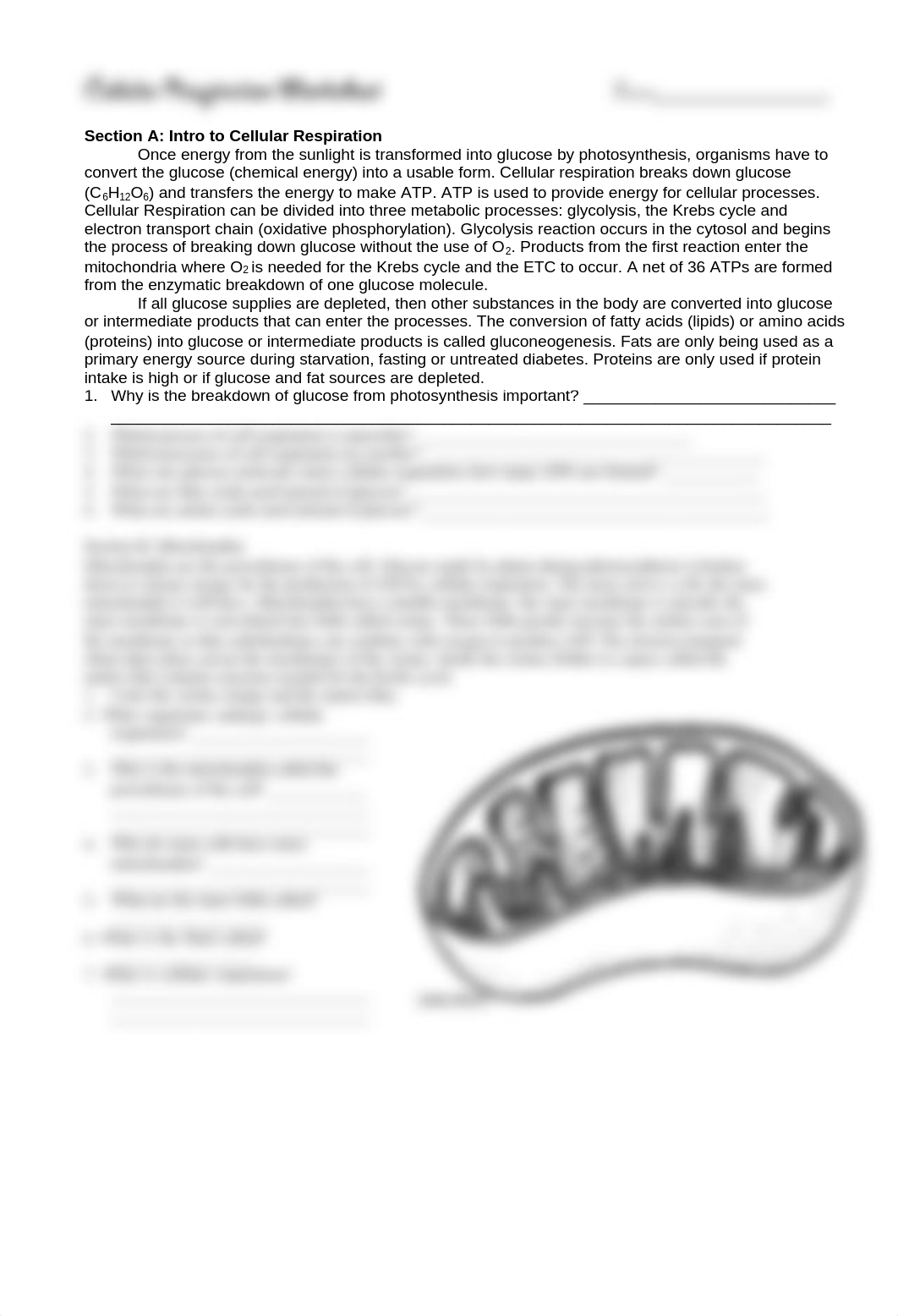 cellular-respiration-worksheet_dus87qyxe1g_page1