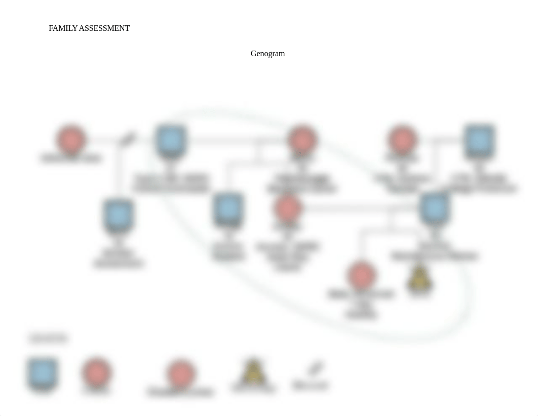 Family Assessment.docx_dusa7onn9se_page3