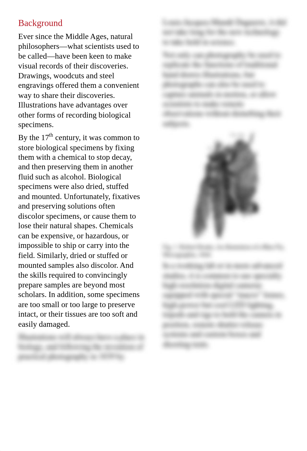 BIO 200 Lab 2 Manual Photographing Biological Specimens.pdf_dusay53b9xi_page3