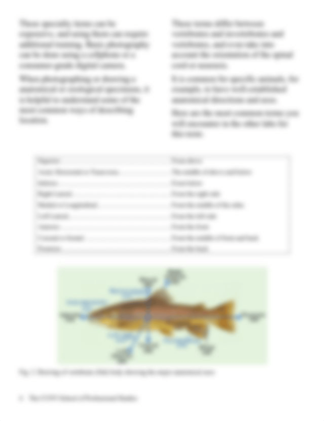 BIO 200 Lab 2 Manual Photographing Biological Specimens.pdf_dusay53b9xi_page4