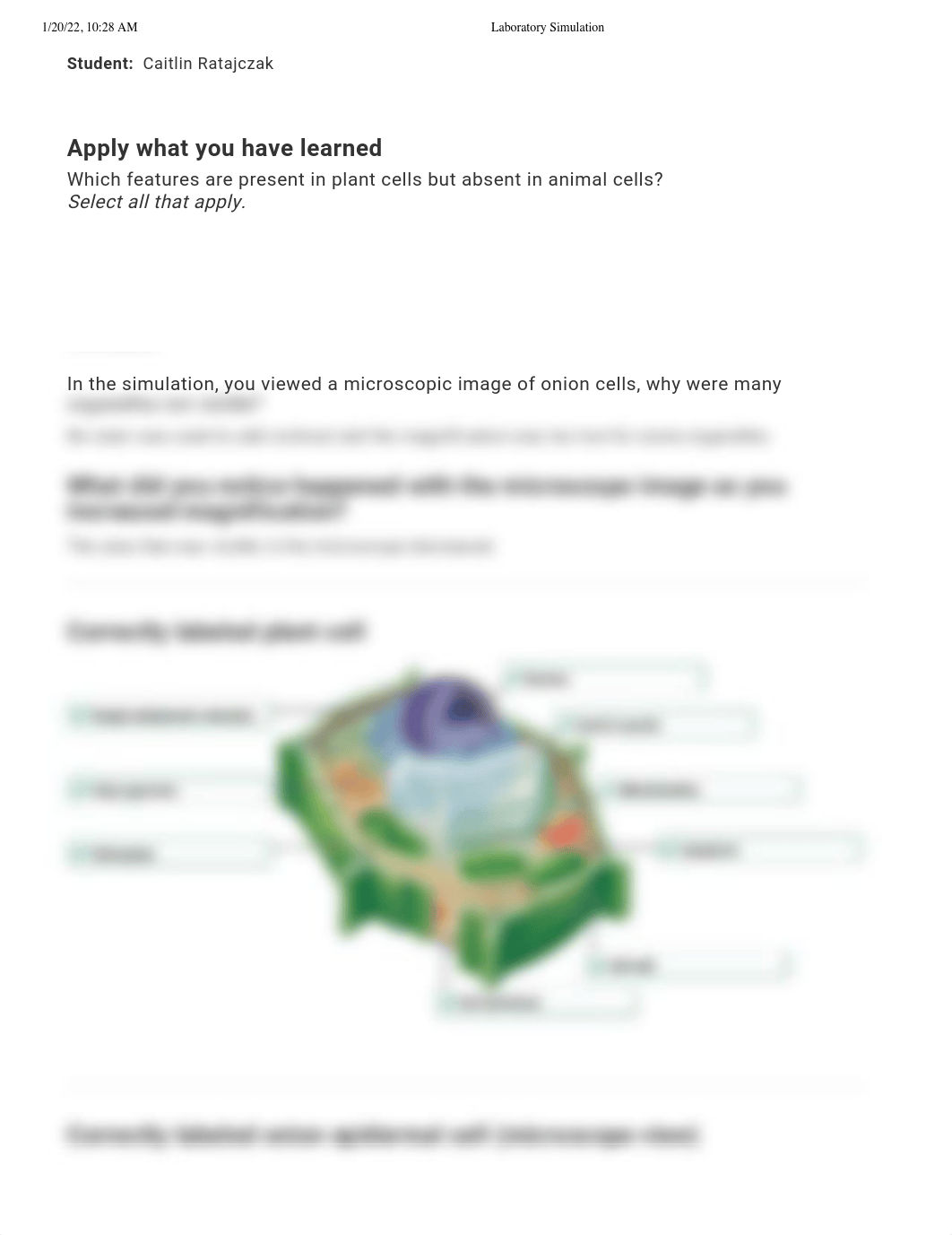 Microscopy - plant cells.pdf_dusdhvkhpu8_page1