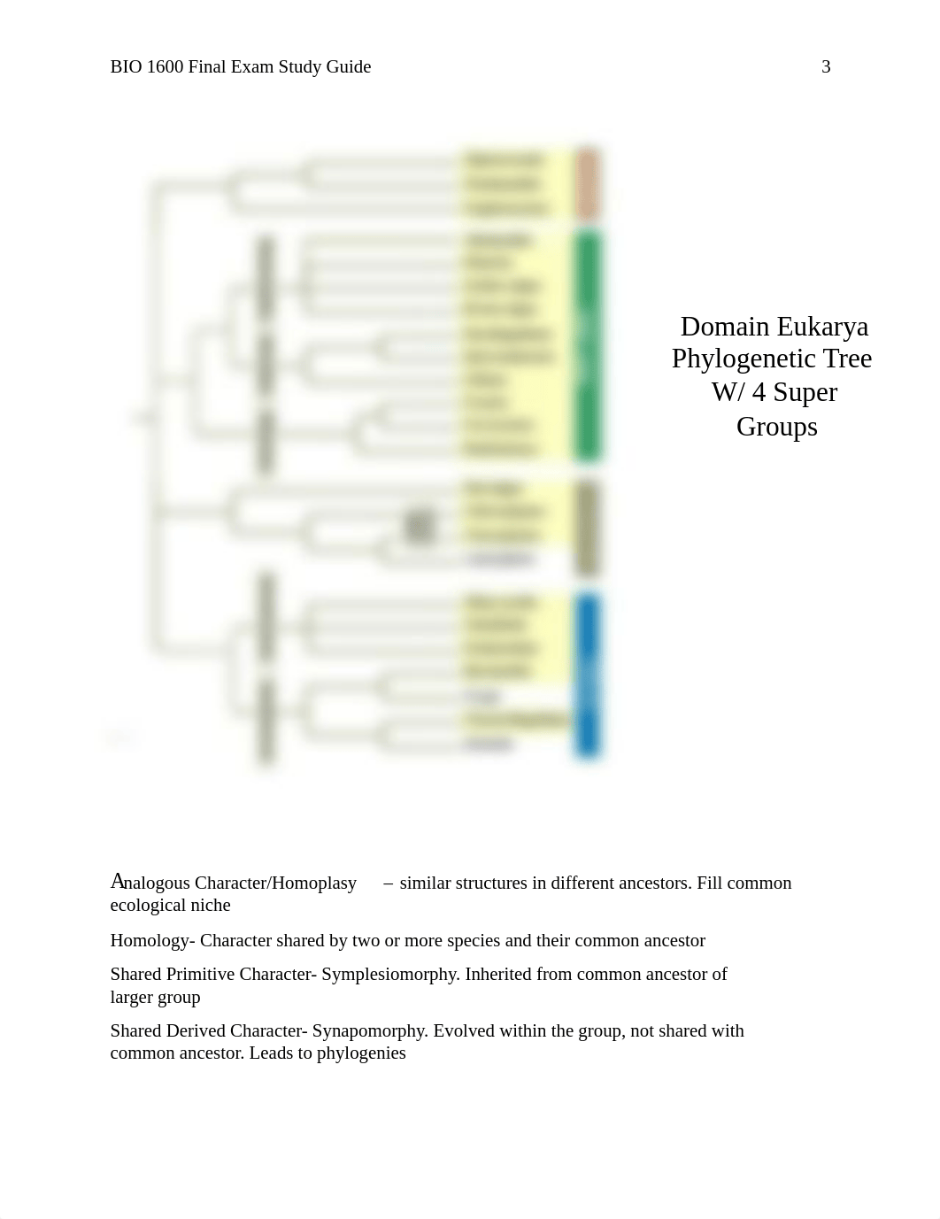 Final Exam Study Guide.pdf_dusetqy1ehm_page3