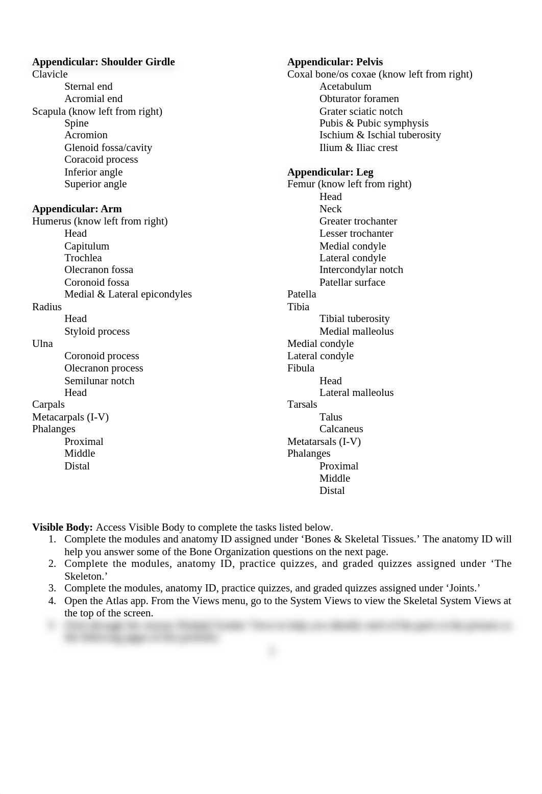 Lab 6 Skeletal System.docx_duskhk8egre_page2