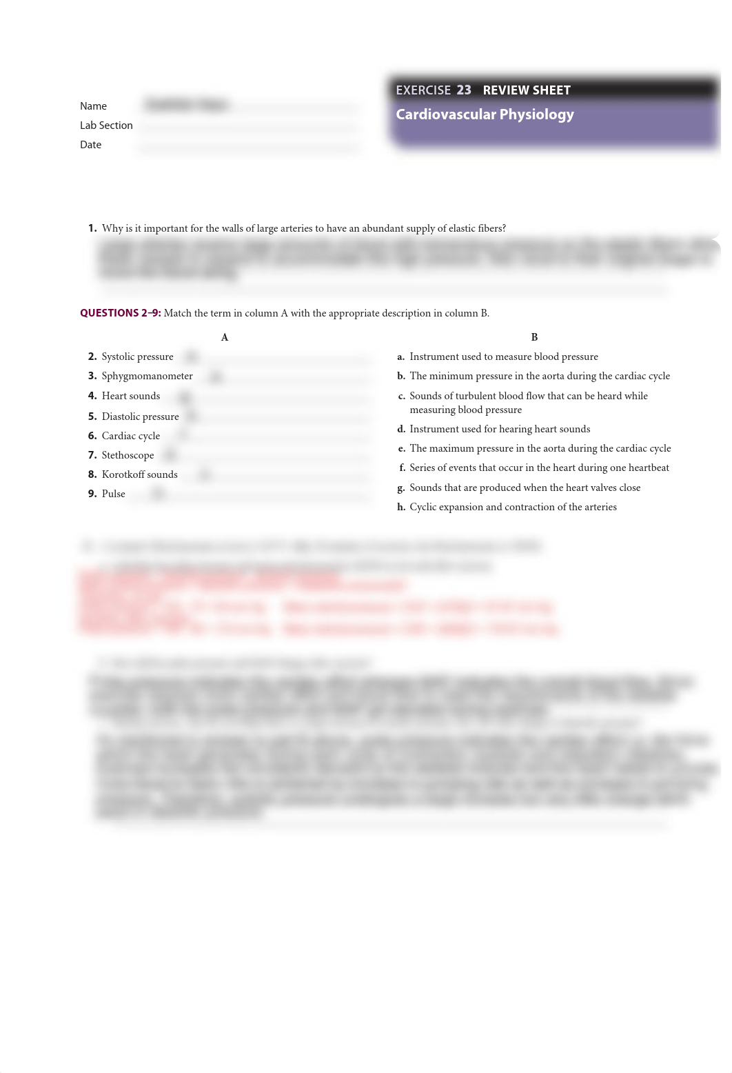 review sheet- cardiovascular.pdf_duskuag1yt4_page1