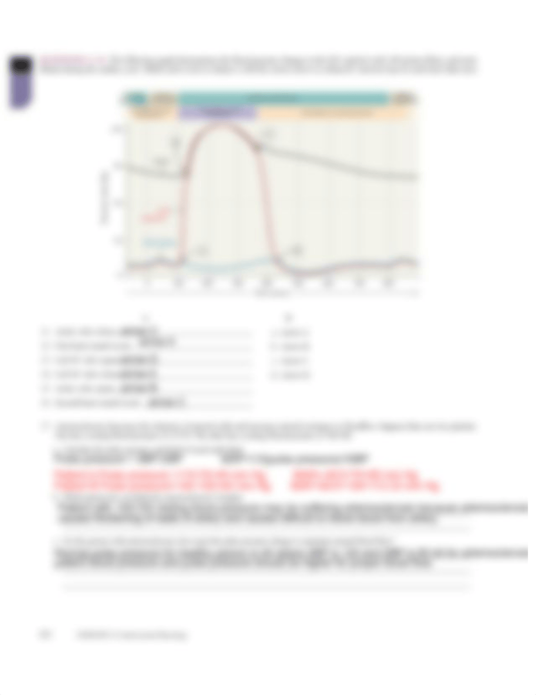 review sheet- cardiovascular.pdf_duskuag1yt4_page2