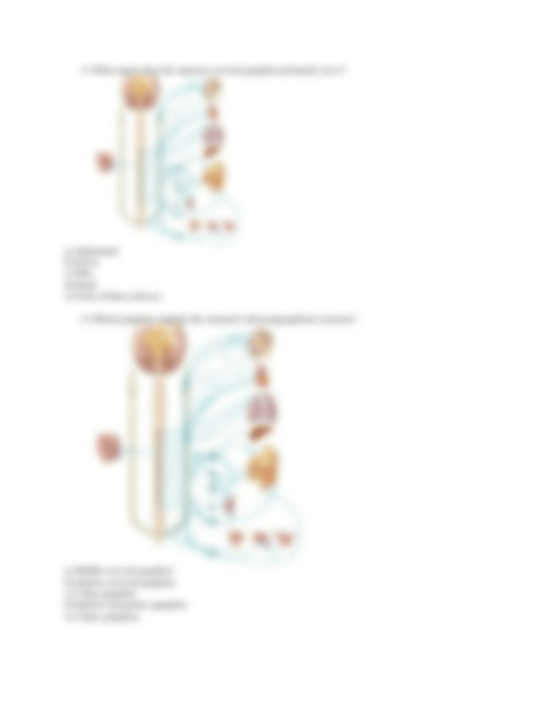 ACTIVITY-Ch15-AP.docx_dust04fd3cu_page3