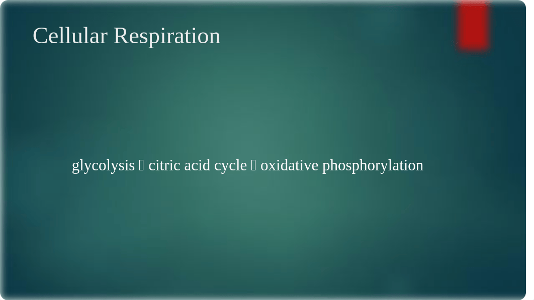 Group Advanced Concepts Respiration.pptx_dusv22ywmuu_page3