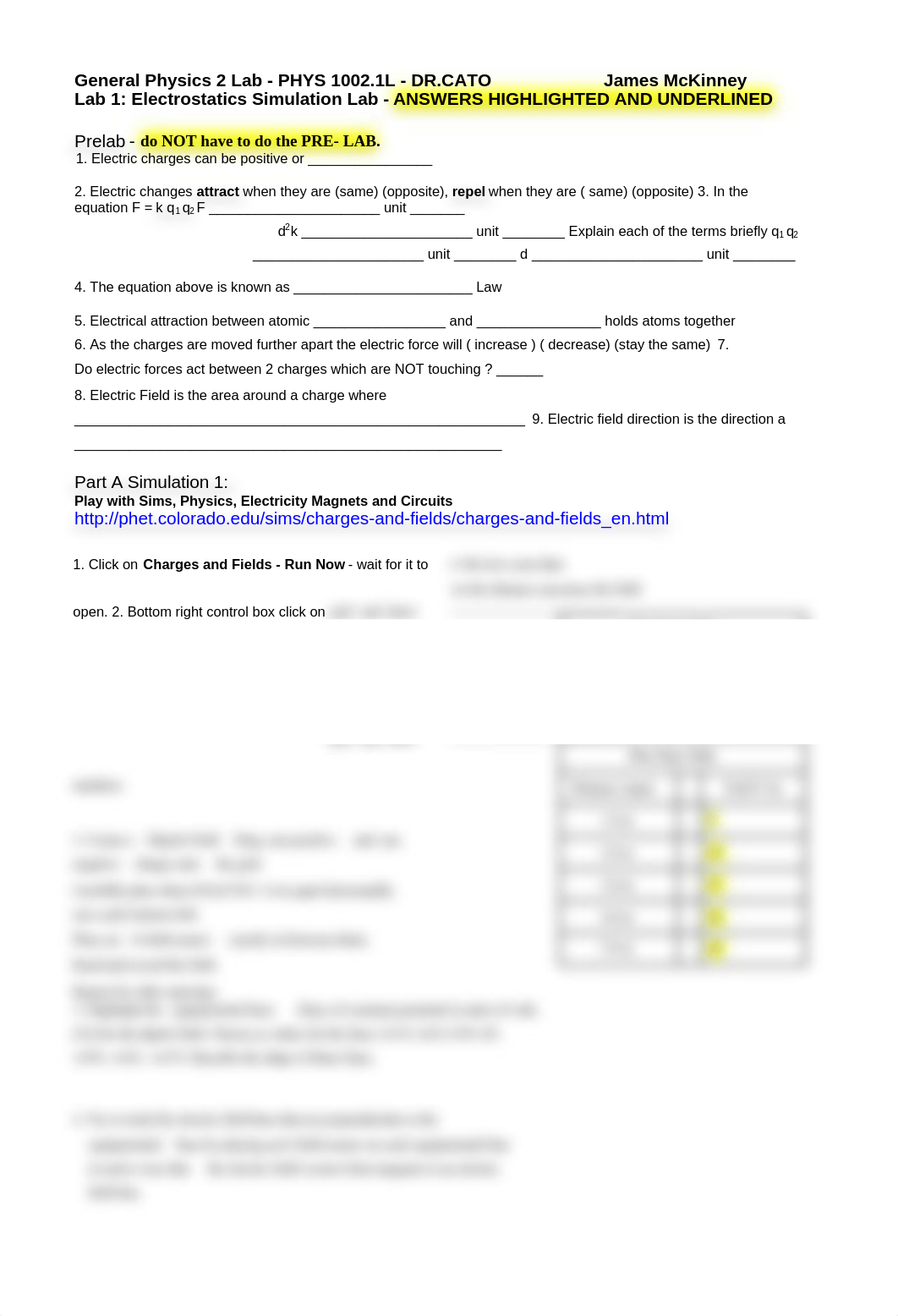 Electrostatic Simulation Lab.docx_dut1inzpqs2_page1