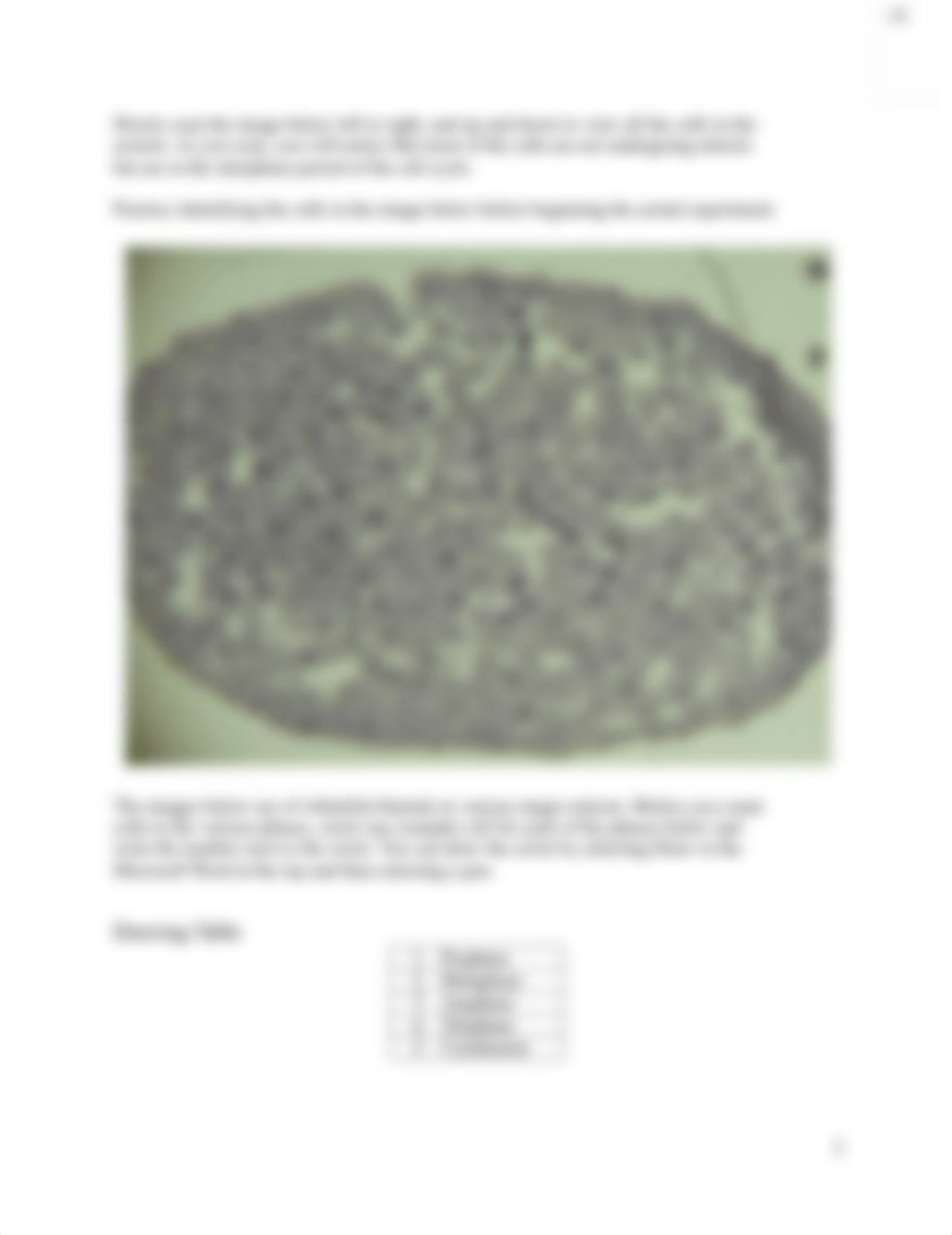 W4 Mid Week Assignment Mitosis Lab (MS Word) completed.docx_dut3nbkb0e7_page2