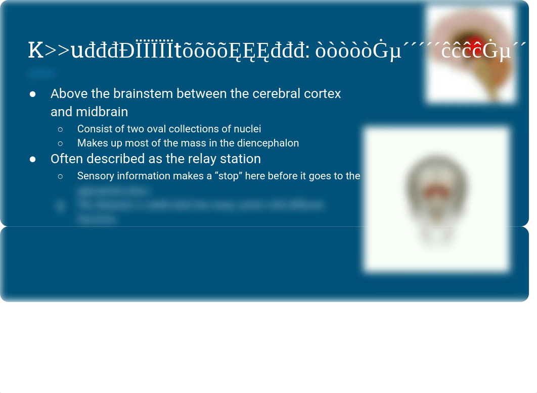 Brain presentation.pdf_dutbm2gmjcb_page4