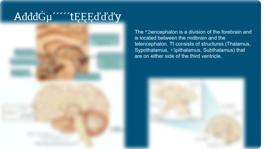 Brain presentation.pdf_dutbm2gmjcb_page2