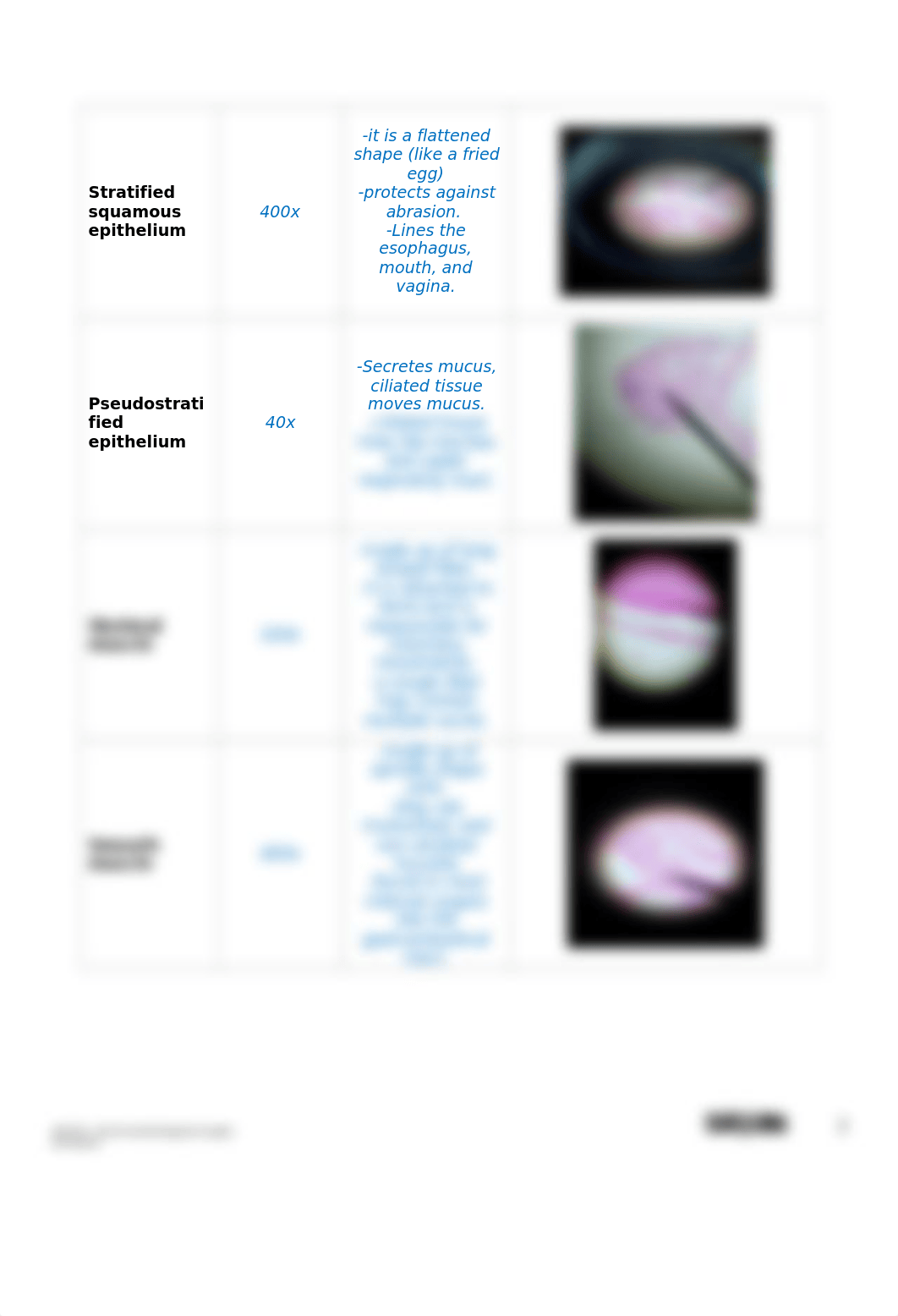 Intro to Histology- Answer Sheet.docx_dutgtnf0sp2_page2