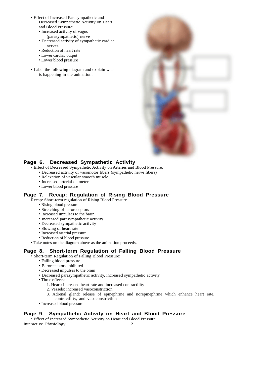 Blood_Pressure_Regulation.pdf_dutmcuvgmex_page2