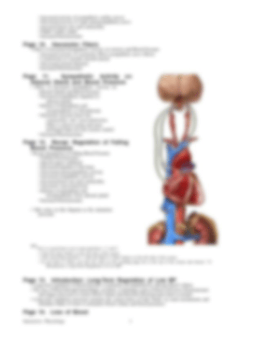 Blood_Pressure_Regulation.pdf_dutmcuvgmex_page3