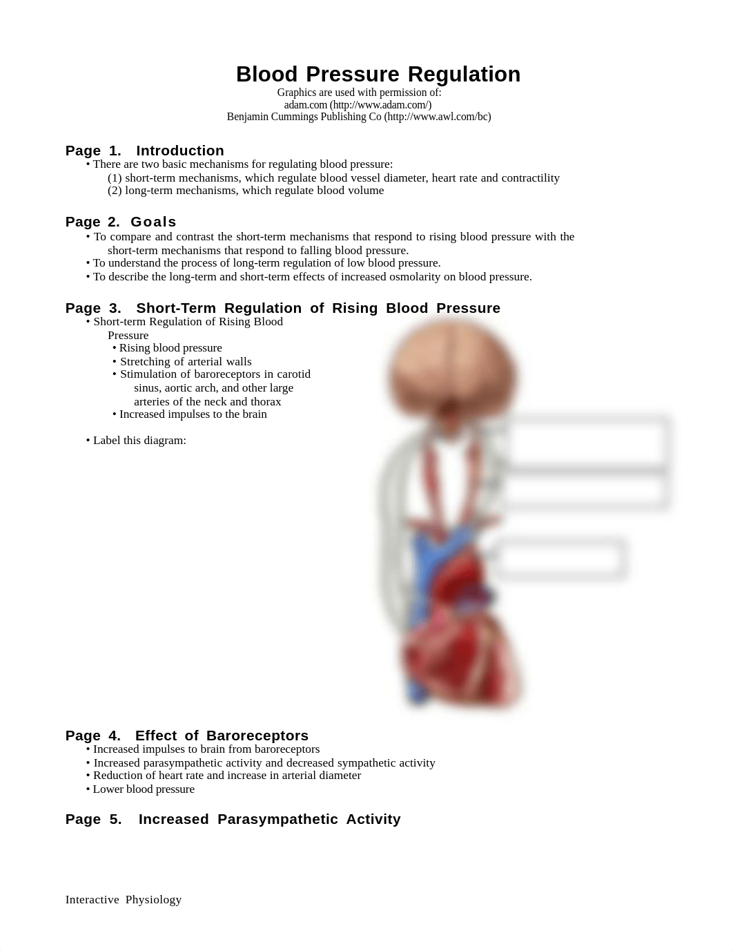 Blood_Pressure_Regulation.pdf_dutmcuvgmex_page1