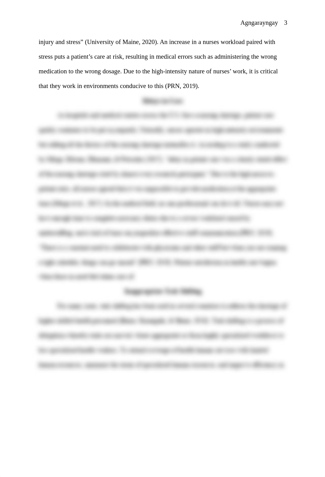 Agngarayngay PUBA 446 Contemporary Issue Essay.pdf_dutq82r6xlp_page3