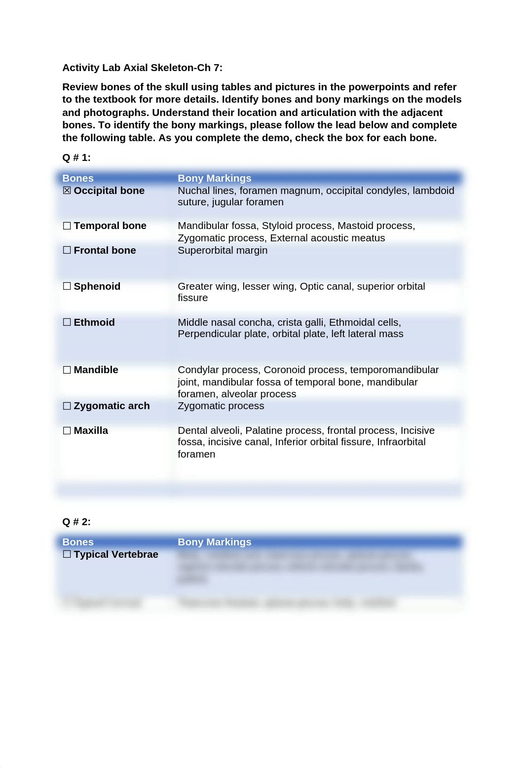 Activity axial skeleton lab.docx_dutxxyg5a2n_page1