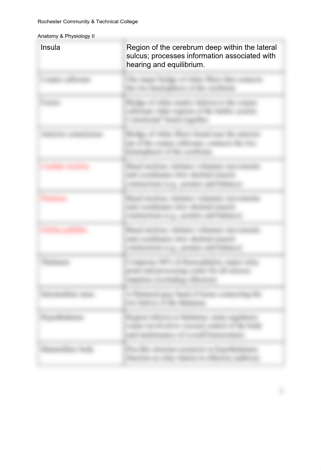 Brain Anatomy Handout (2).pdf_duu9ah38pi6_page2