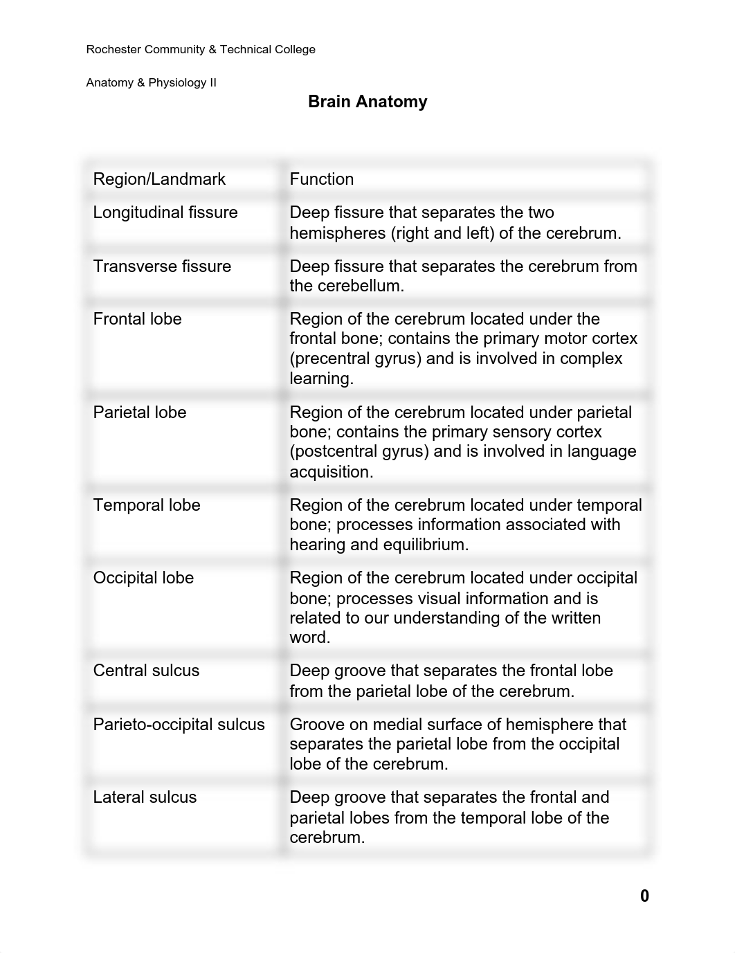 Brain Anatomy Handout (2).pdf_duu9ah38pi6_page1