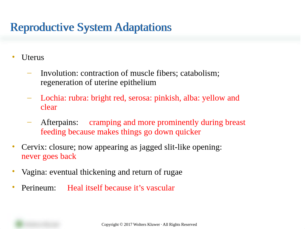 Chapter 15 postpartum adaptations.ppt_duucgrcxf7i_page5