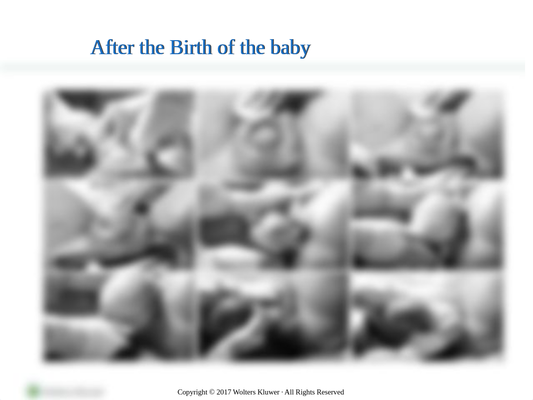 Chapter 15 postpartum adaptations.ppt_duucgrcxf7i_page2