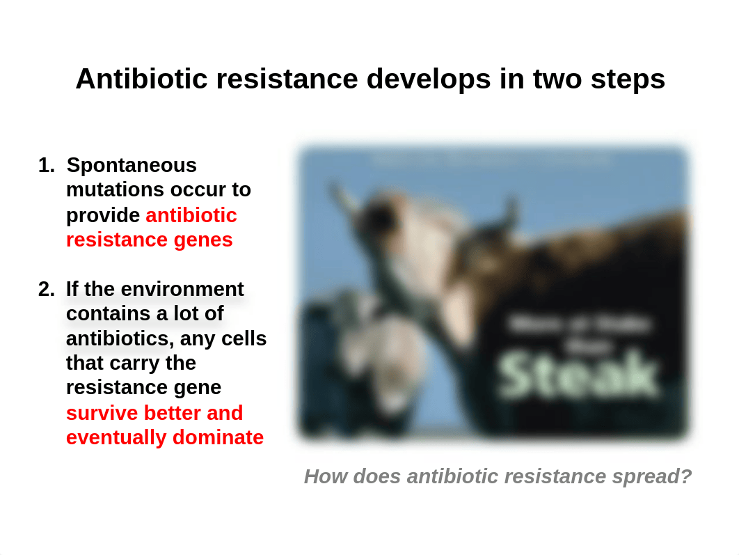 05 Genetic Recombination in Bacteria and Viruses Moodle (1)_duufpcx4vxt_page3