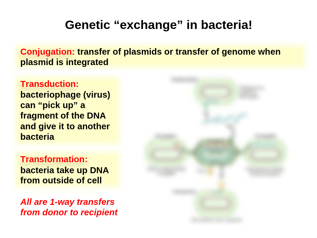 05 Genetic Recombination in Bacteria and Viruses Moodle (1)_duufpcx4vxt_page4