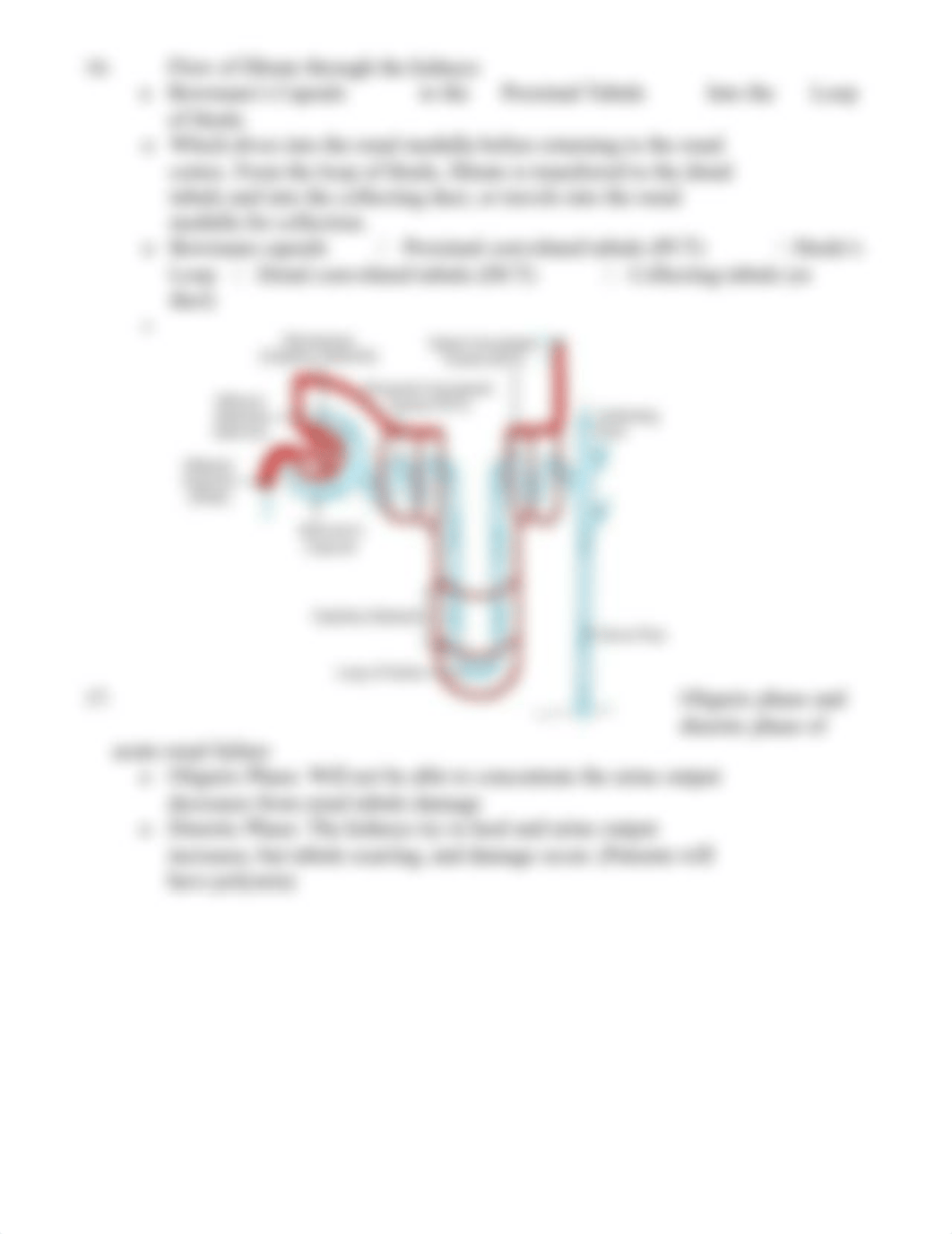 patho exam 2 key concepts.docx_duuugbczti7_page3