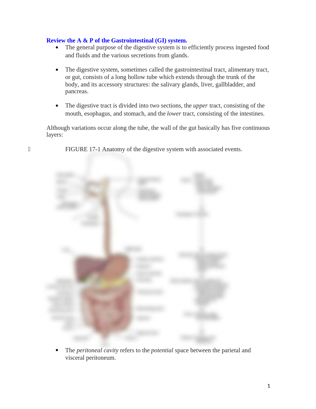 Study Guide Patho Digestive System_duuuz4qvxjm_page1