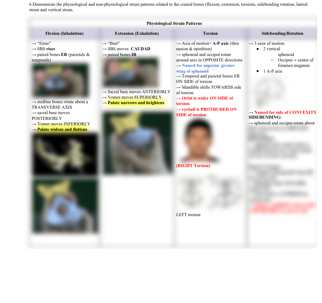 Cranial OMM Charts.pdf_duuwljd5rpl_page1