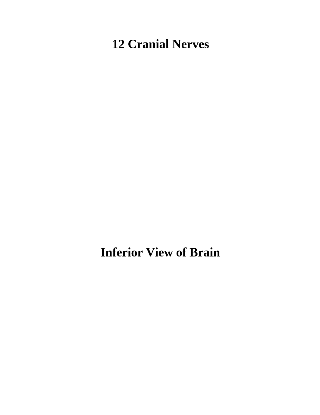 Cranial_Nerves_duv3kkm031p_page1