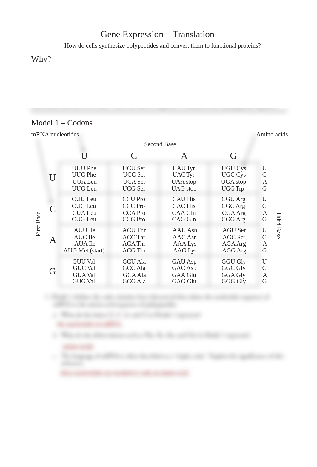 Translation.pdf_duv5n43iv4s_page1