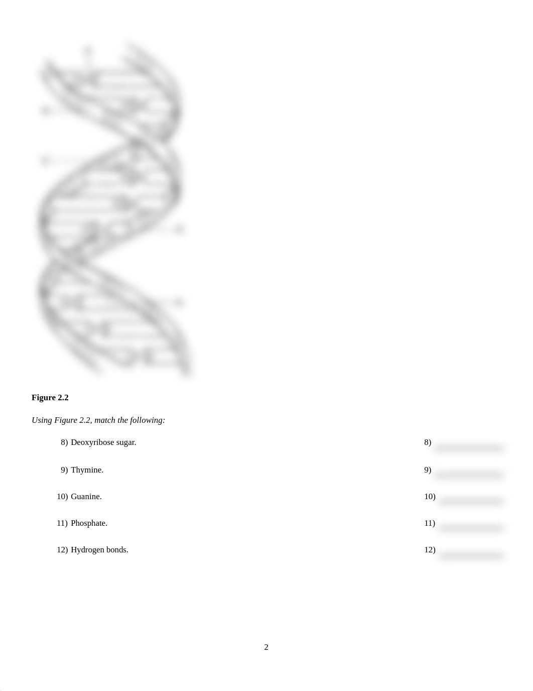 Ch 2 e11 HW Pool paper no key.pdf_duvb1hi3ogk_page2