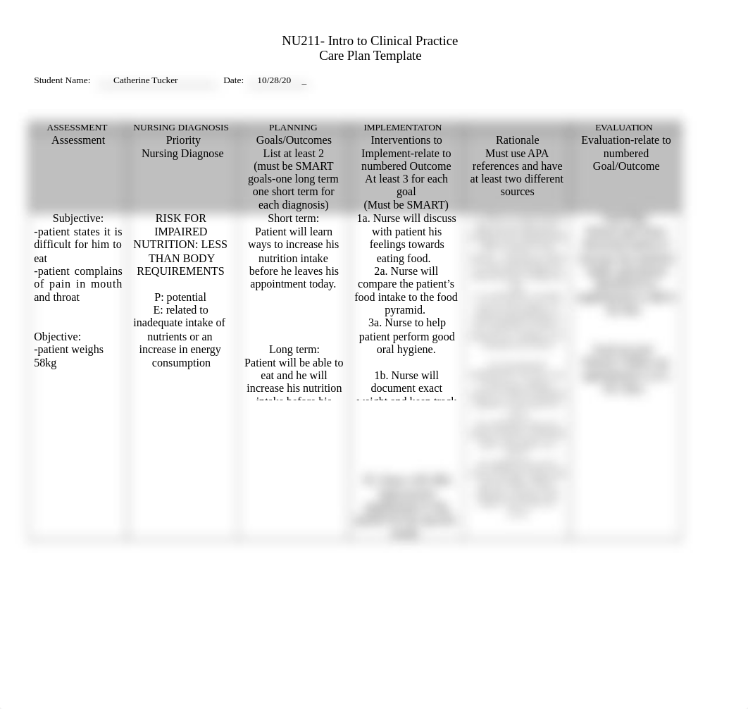 AH1 care plan COPD.docx_duvbnzv18f6_page1