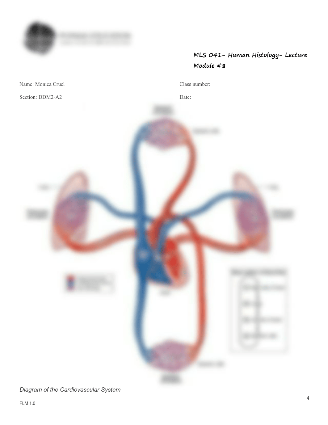 CRUEL_MONICA_DDM-2_A2_MODULE8.pdf_duvmr6dgf10_page4