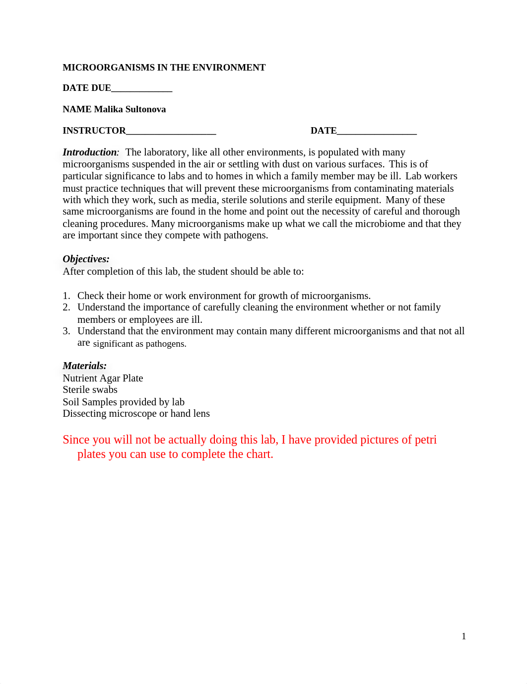 Lab 3 micro.docx_duvw0jdq2aa_page1