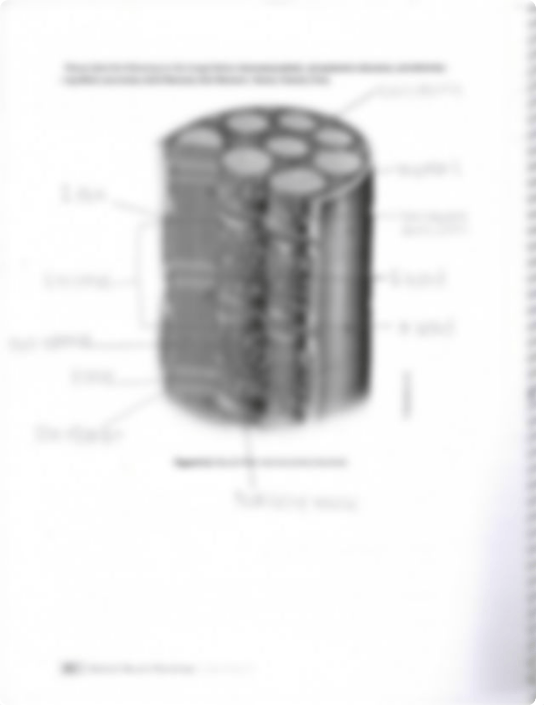 Pre Lab 5.pdf_duw5oze6ui2_page2