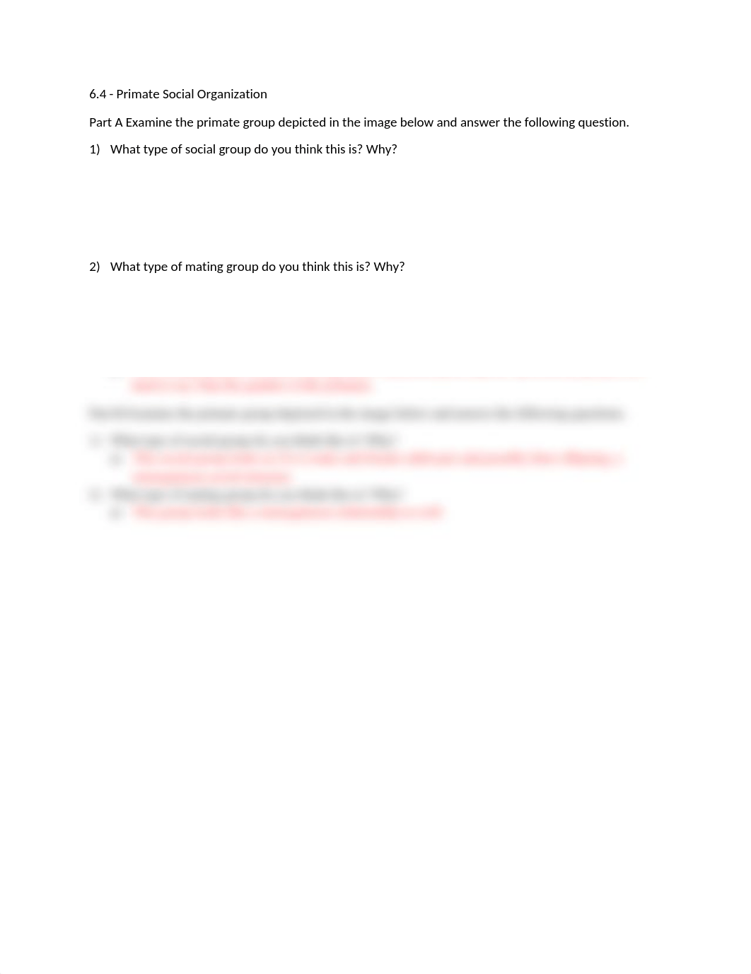 6.4 - Primate Social Organization.docx_duw6mg7blhk_page1