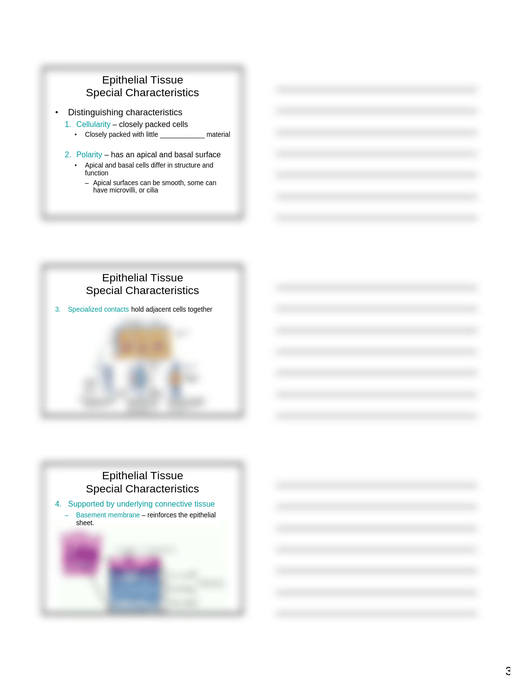 Chapter 4 Lecture - Printable.pdf_duw7nxwvt7z_page3