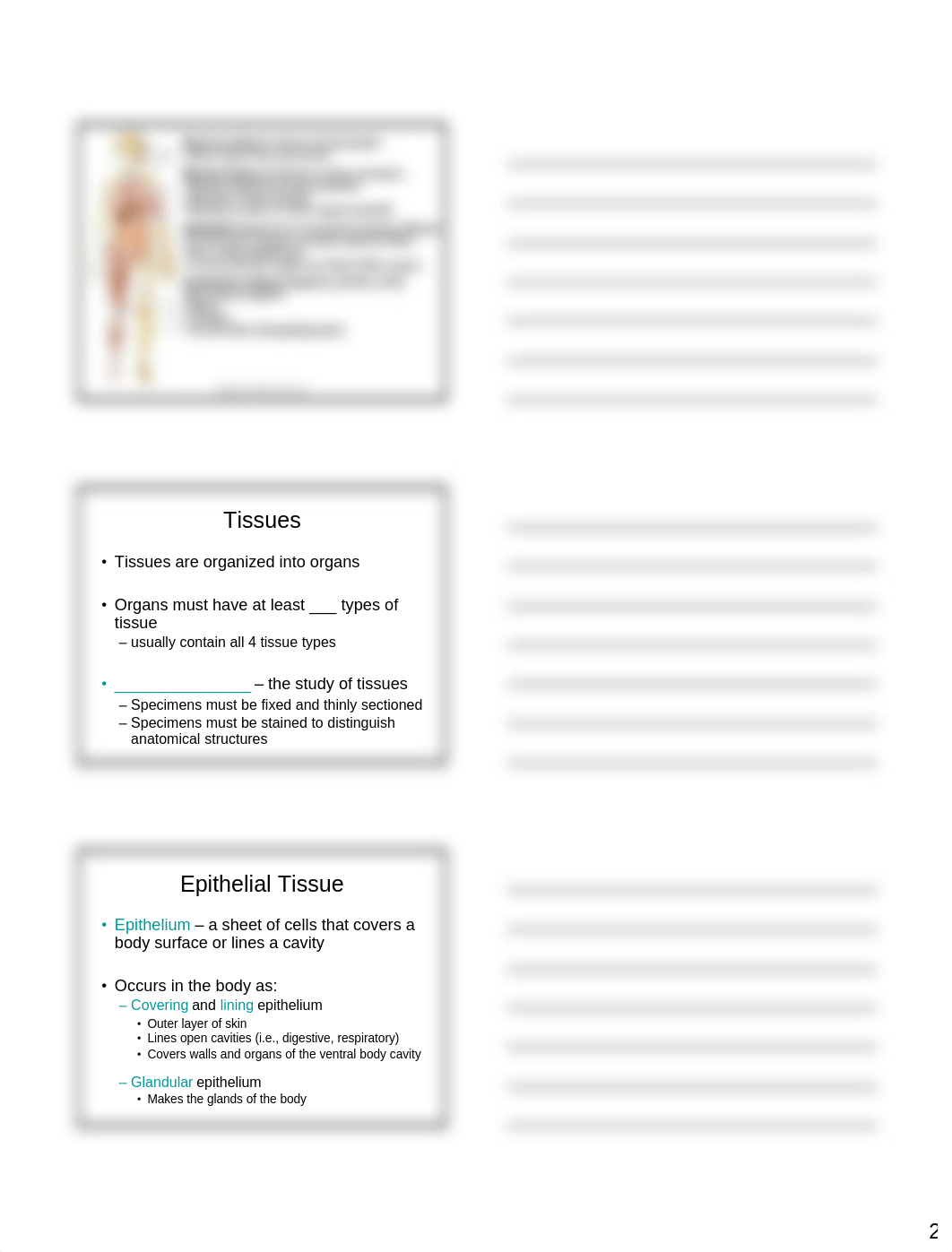 Chapter 4 Lecture - Printable.pdf_duw7nxwvt7z_page2