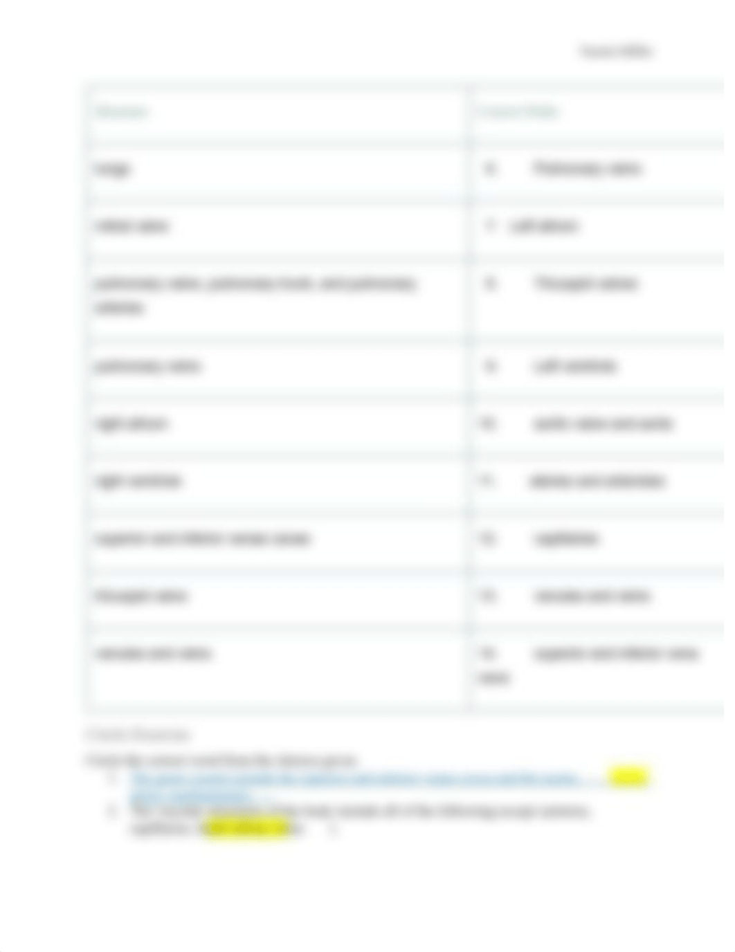 MedicalTerminology_Chapter5-Review_Miller.pdf_duw837mj6xj_page3