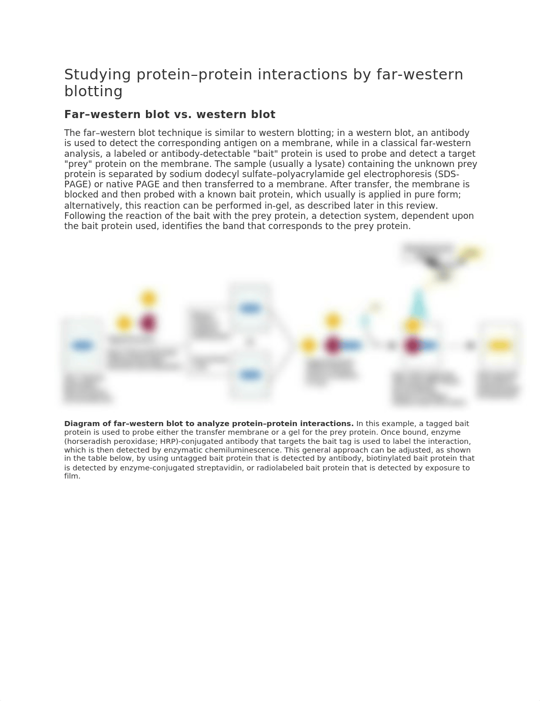 Studying protein-protein interactions by far.docx_duwptyz78tv_page1