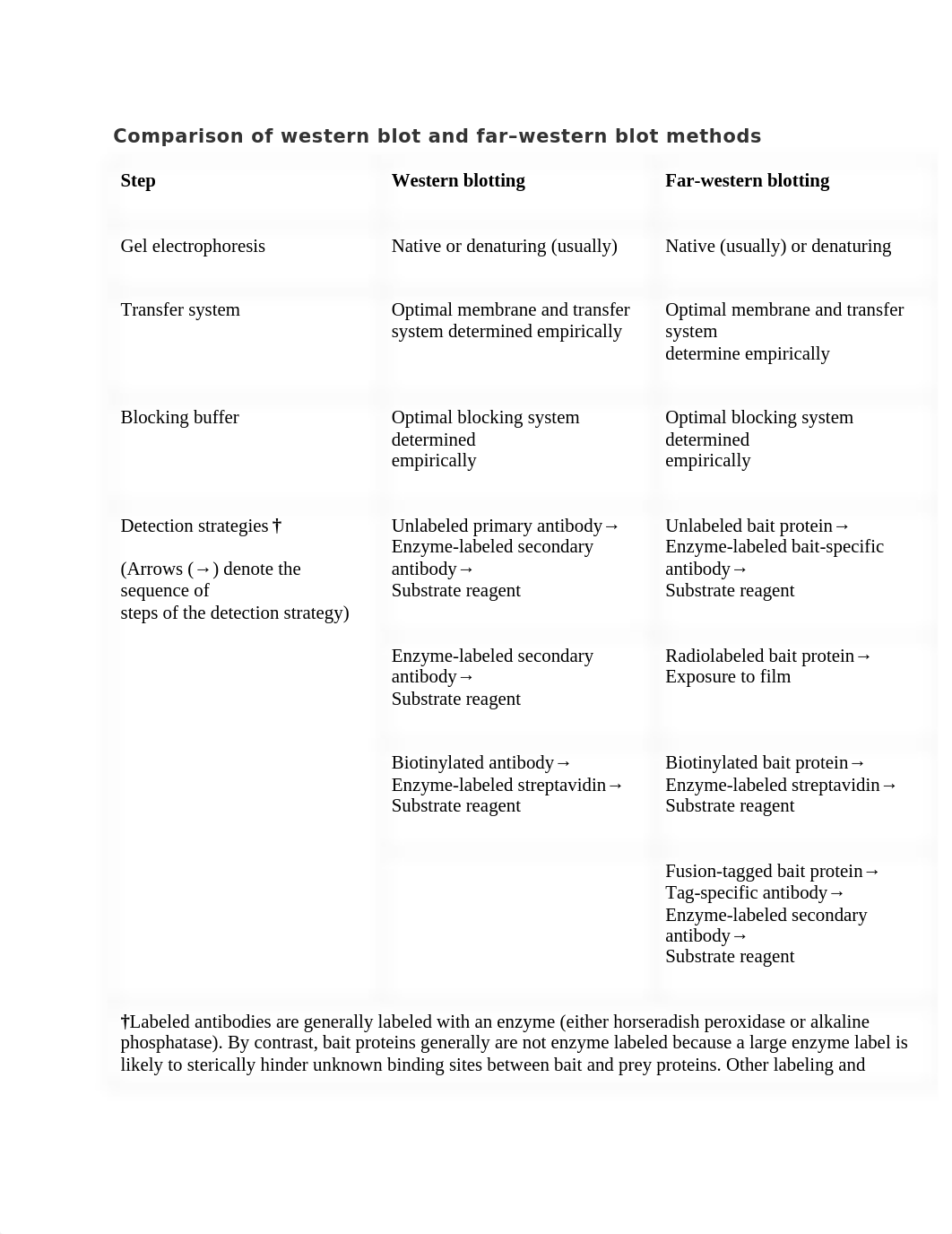 Studying protein-protein interactions by far.docx_duwptyz78tv_page2