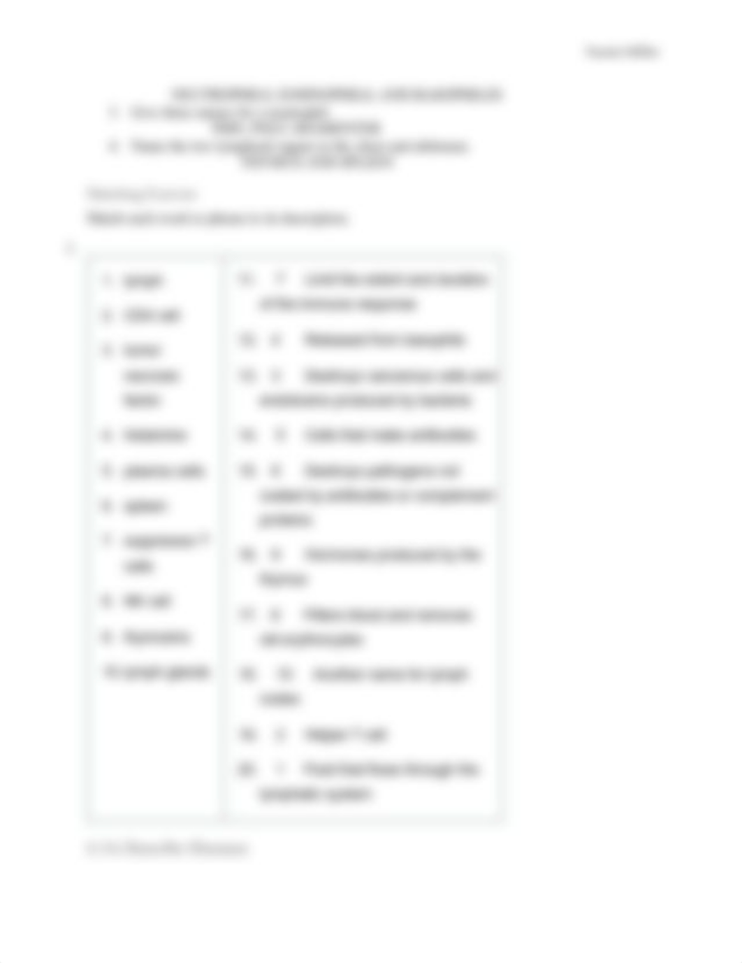 MedicalTerminology_Chapter6-Review_Miller.pdf_duwxd6spcvn_page4