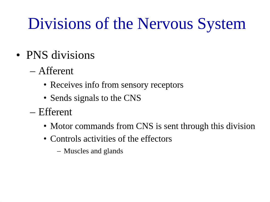 Lab 1 - Nervous System.pdf_dux3wn69kfo_page5