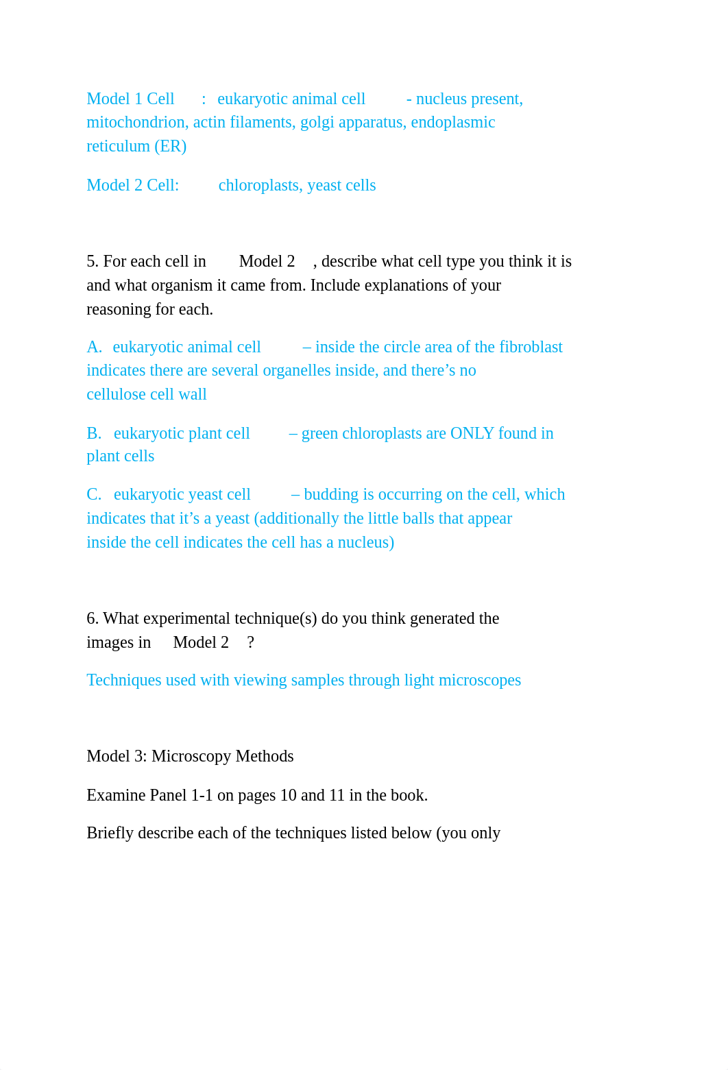 Bio Cell Models:Methods.docx_duxc51yvqsn_page3