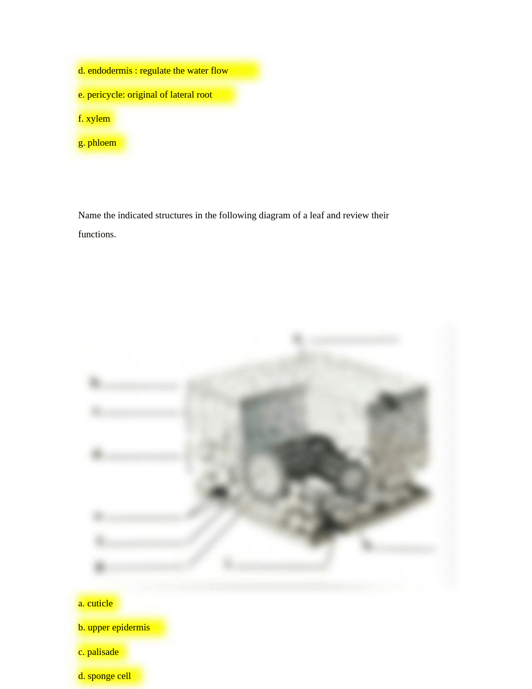 20.竞赛35 vascular plant 答案.pdf_duxkymiv132_page4