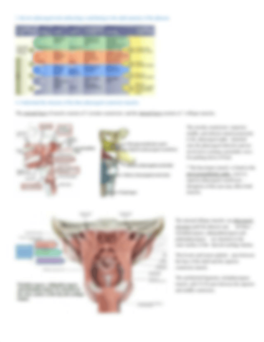 Pharynx.pdf_duxvrge1lkf_page2